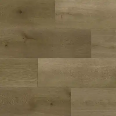 Дуб Кэмбел 6537