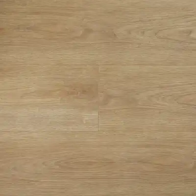 Дуб Ирландский 4502