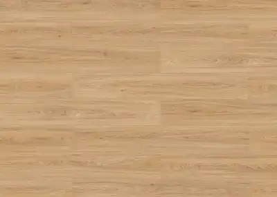 Дуб Сокотра