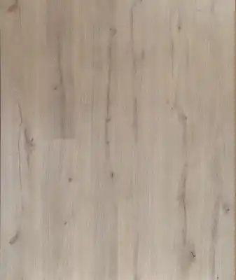 Дуб Каньон