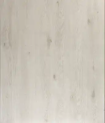 Дуб Анвер