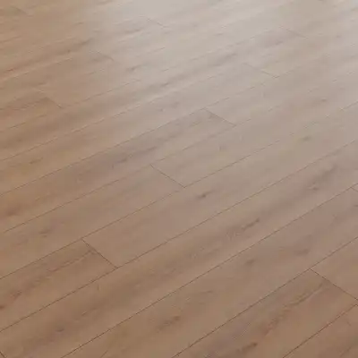 Дуб Тенденс