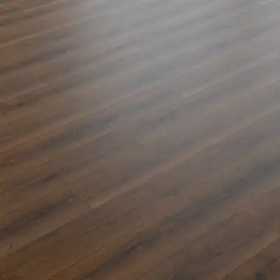 Дуб Мейджер