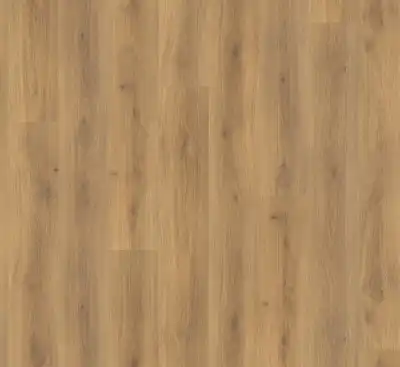 Дуб Эмилия Медовый 538772