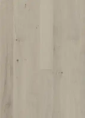 Дуб Муза широкий (Muse Wide)