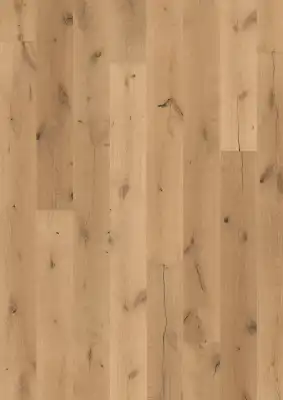 Дуб Борей (Oak Boreas)