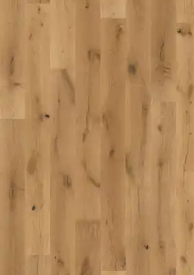 Дуб Эвр (Oak Eurus)