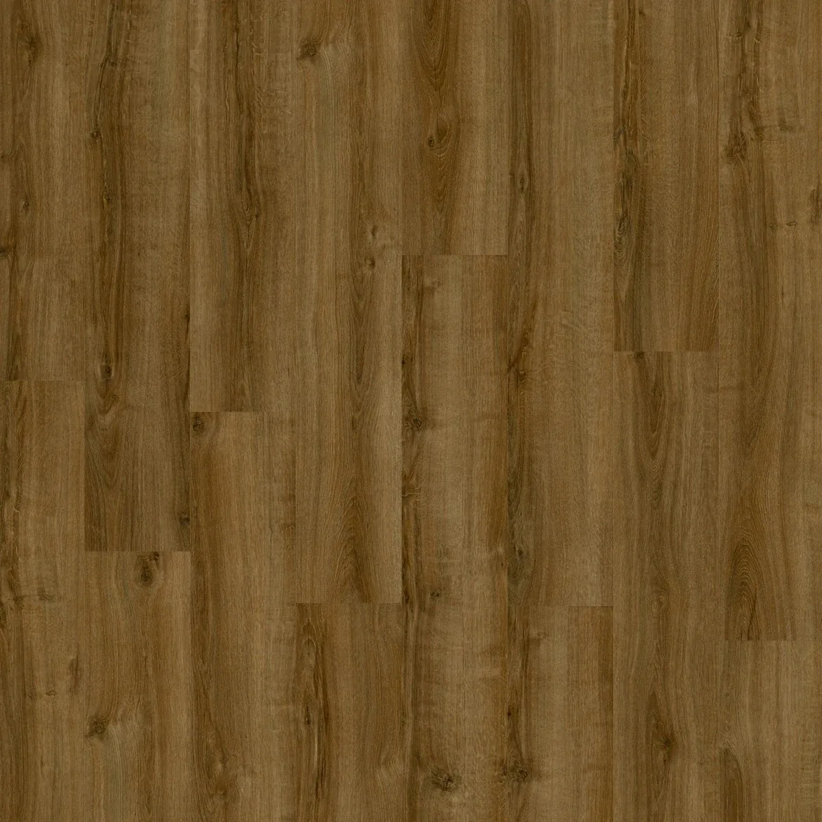 Дуб Саммер (Summer Oak 24867)