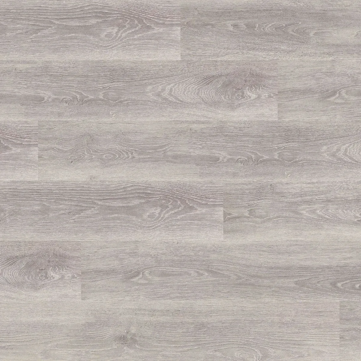 Дуб Кливленд (Cleveland Oak)