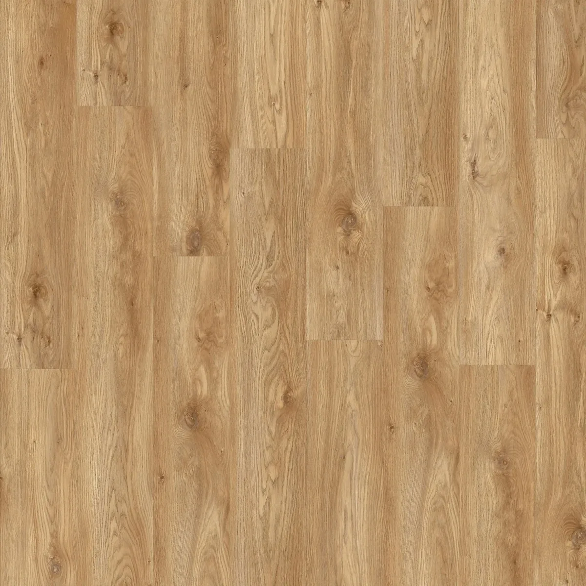 Дуб Сьерра (Sierra Oak 58346)