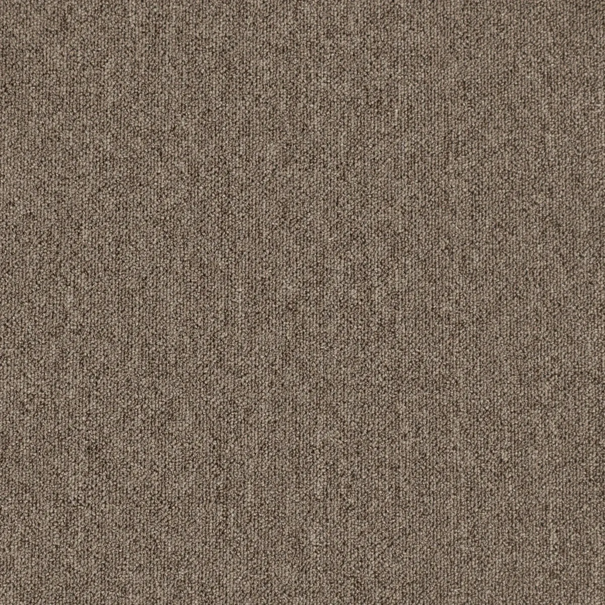Статера (Statera) 880