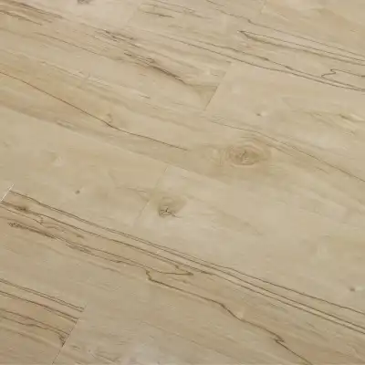 Клен бежевый