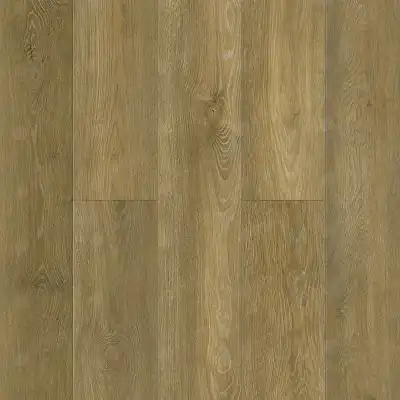 Бук