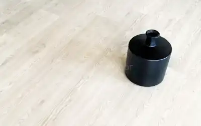 Дуб Светлый