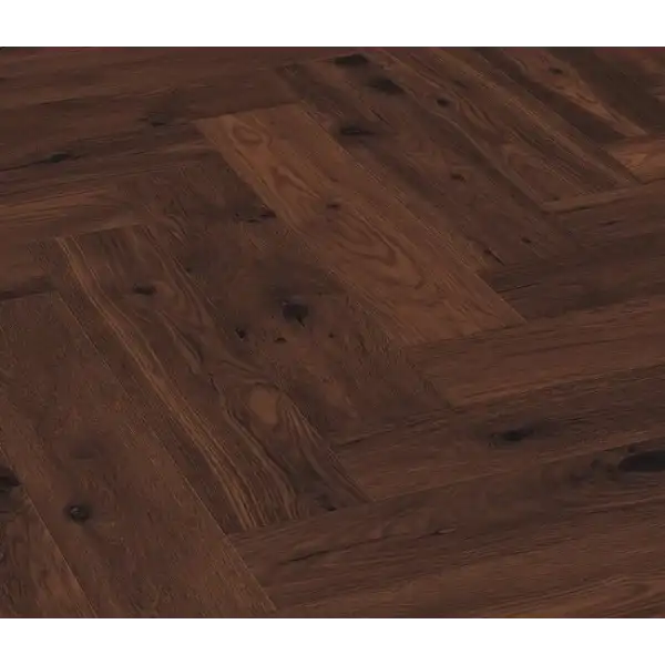 Дуб Дымчатый 8564