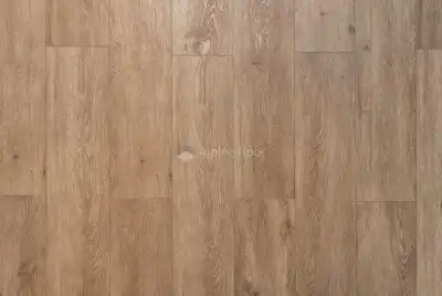 Карите