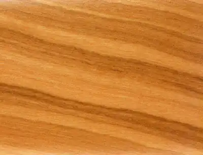 Олива 60х22